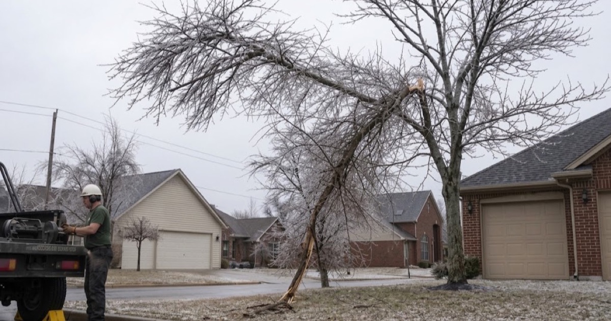 Worker at the winch drum drawing an ice-broken red maple leader down out of the crown it lodged in on a Spring Hill street.